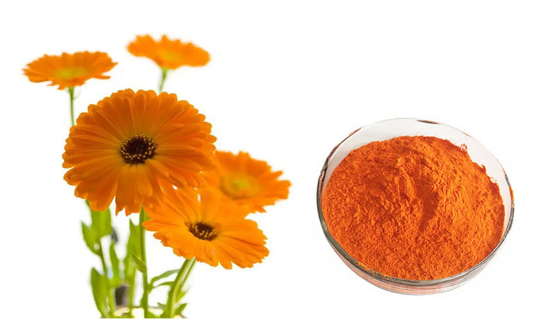 calendula lutein.jpg